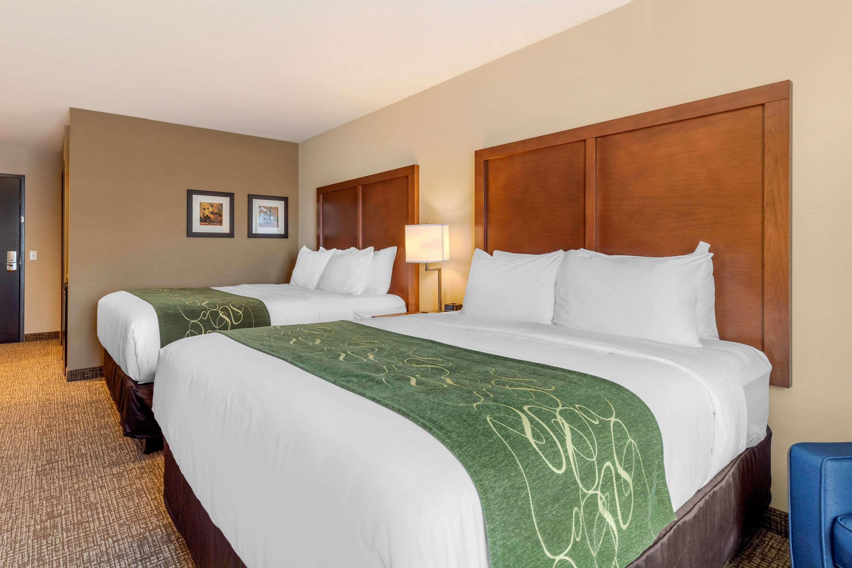Comfort Inn & Suites Schenectady - Scotia Luaran gambar