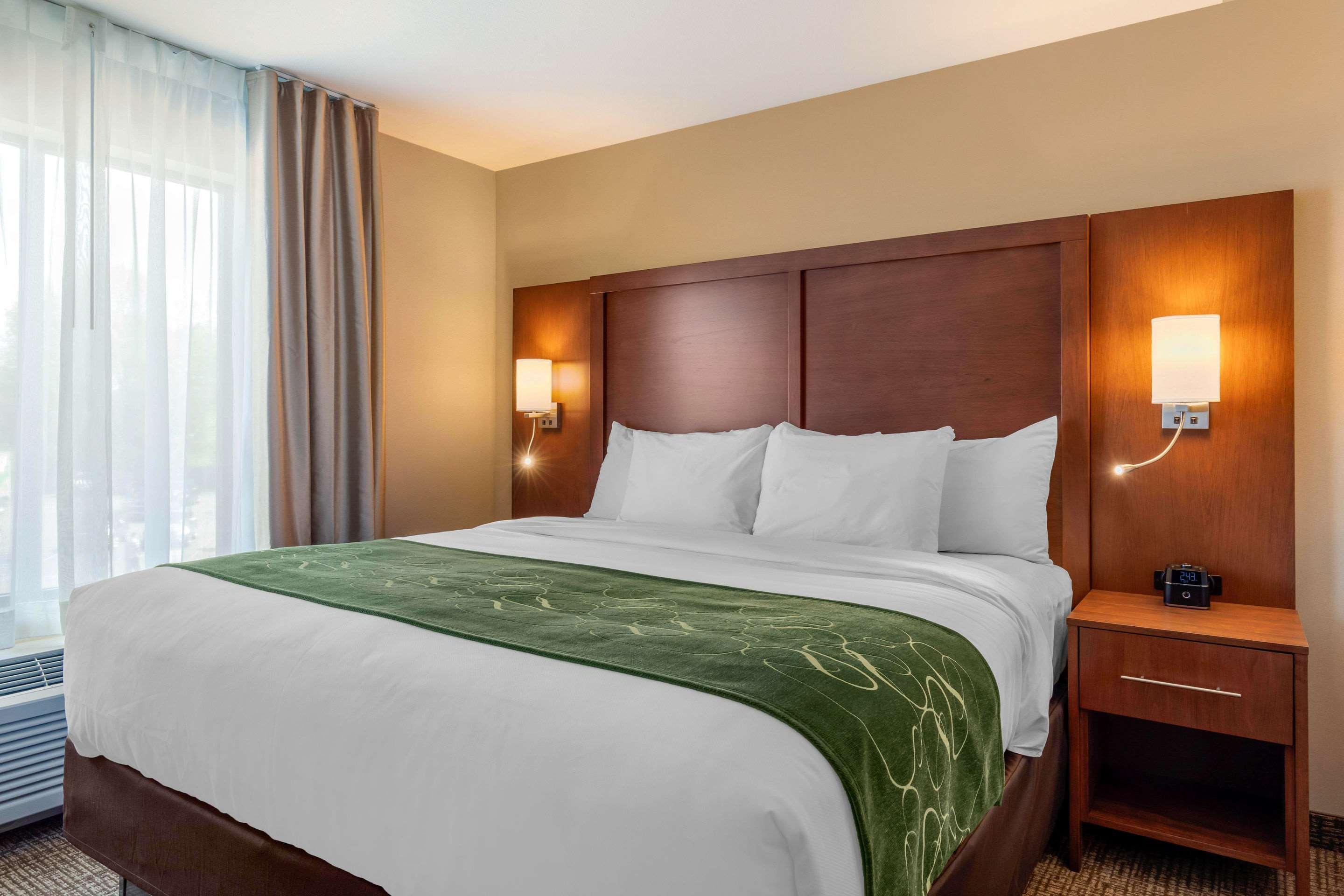 Comfort Inn & Suites Schenectady - Scotia Luaran gambar