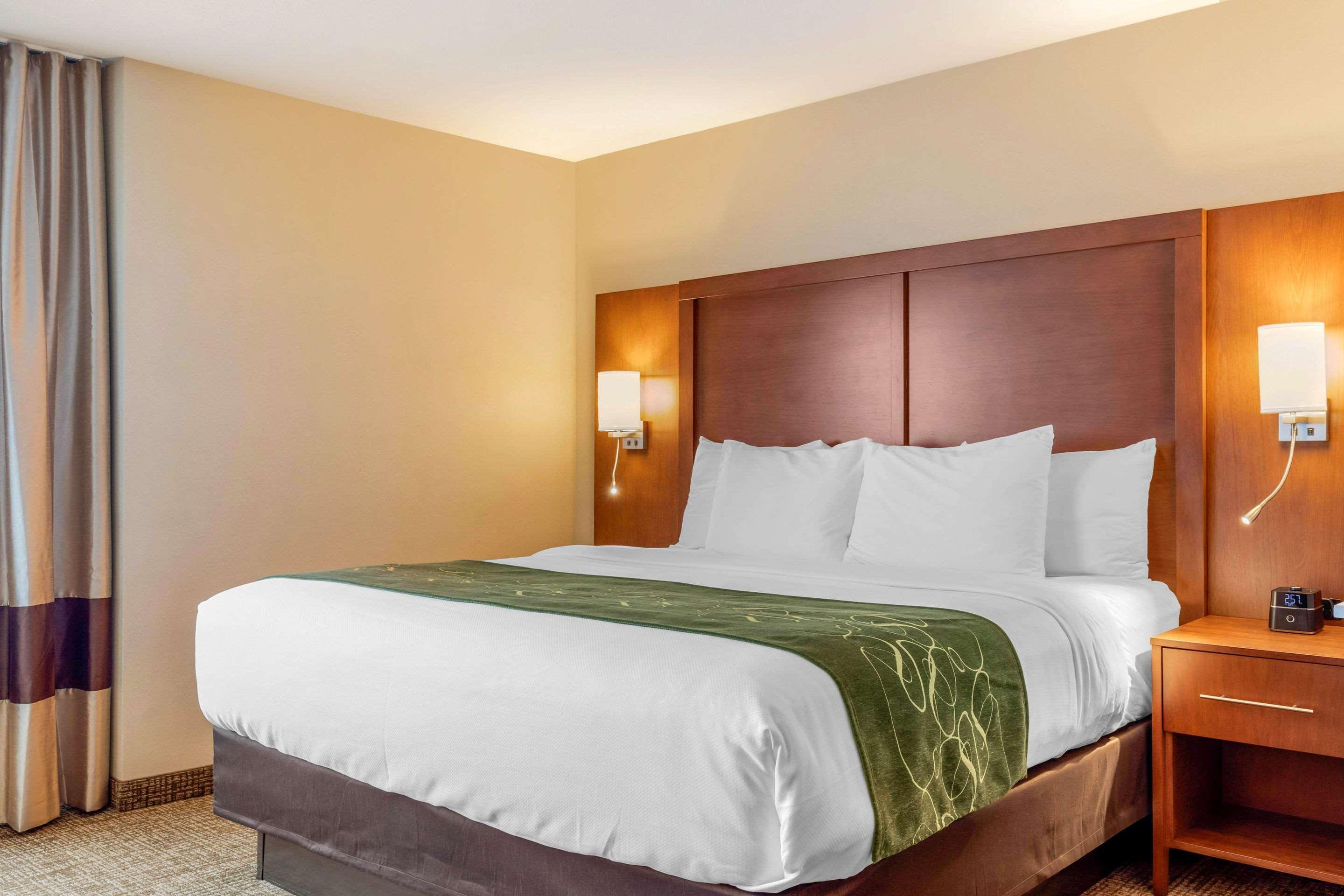 Comfort Inn & Suites Schenectady - Scotia Luaran gambar