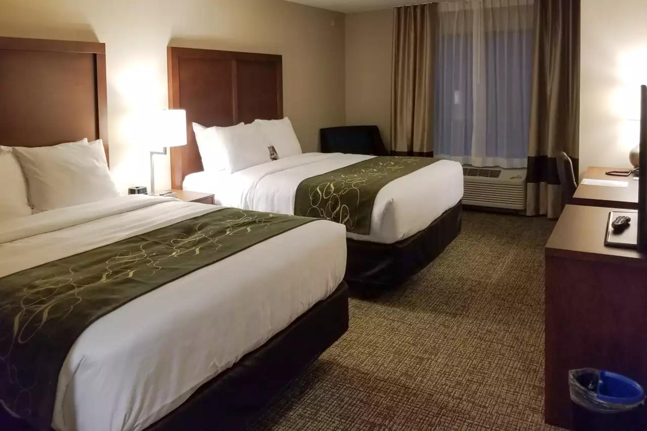 Comfort Inn & Suites Schenectady - Scotia Luaran gambar