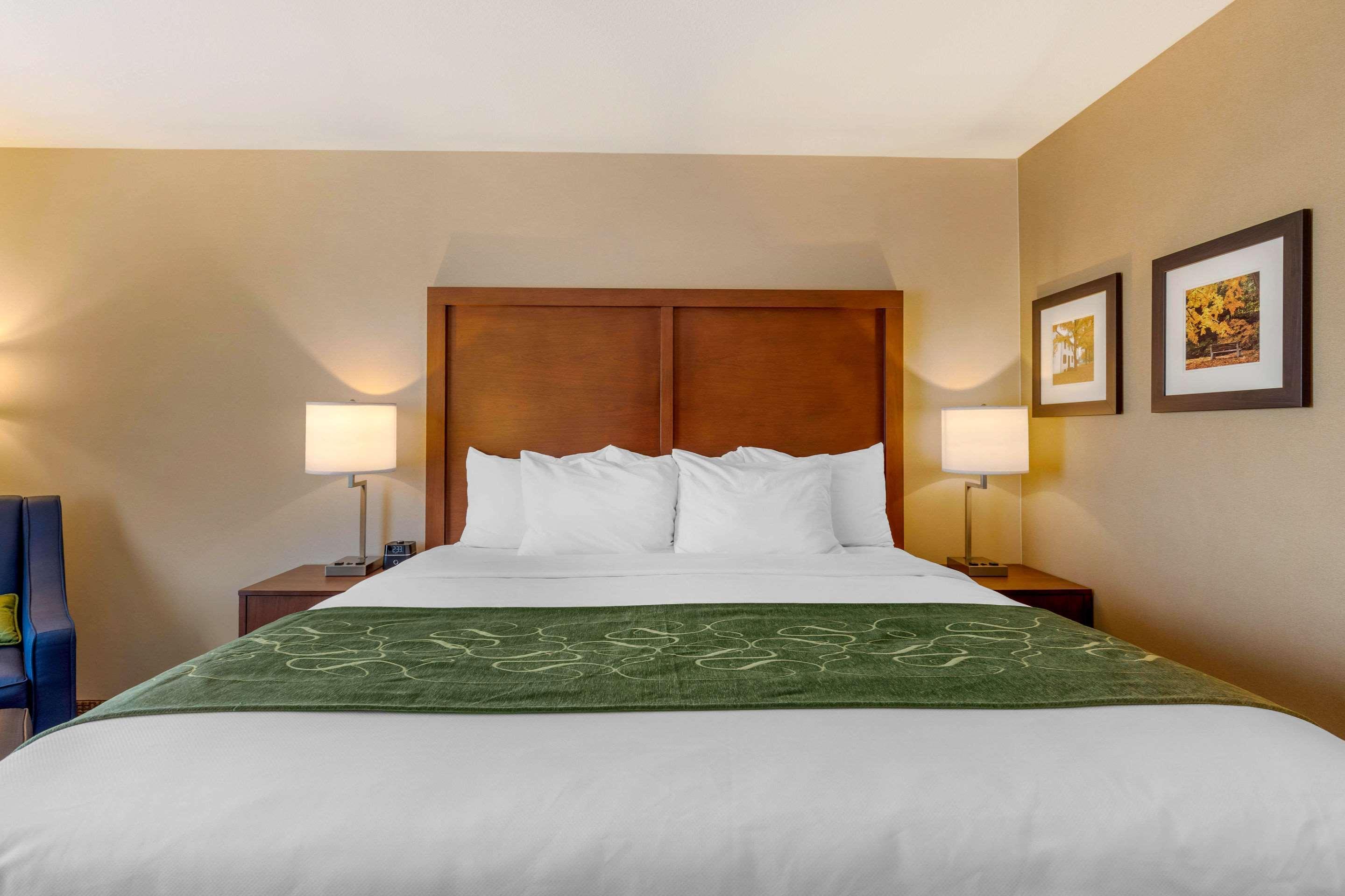 Comfort Inn & Suites Schenectady - Scotia Luaran gambar