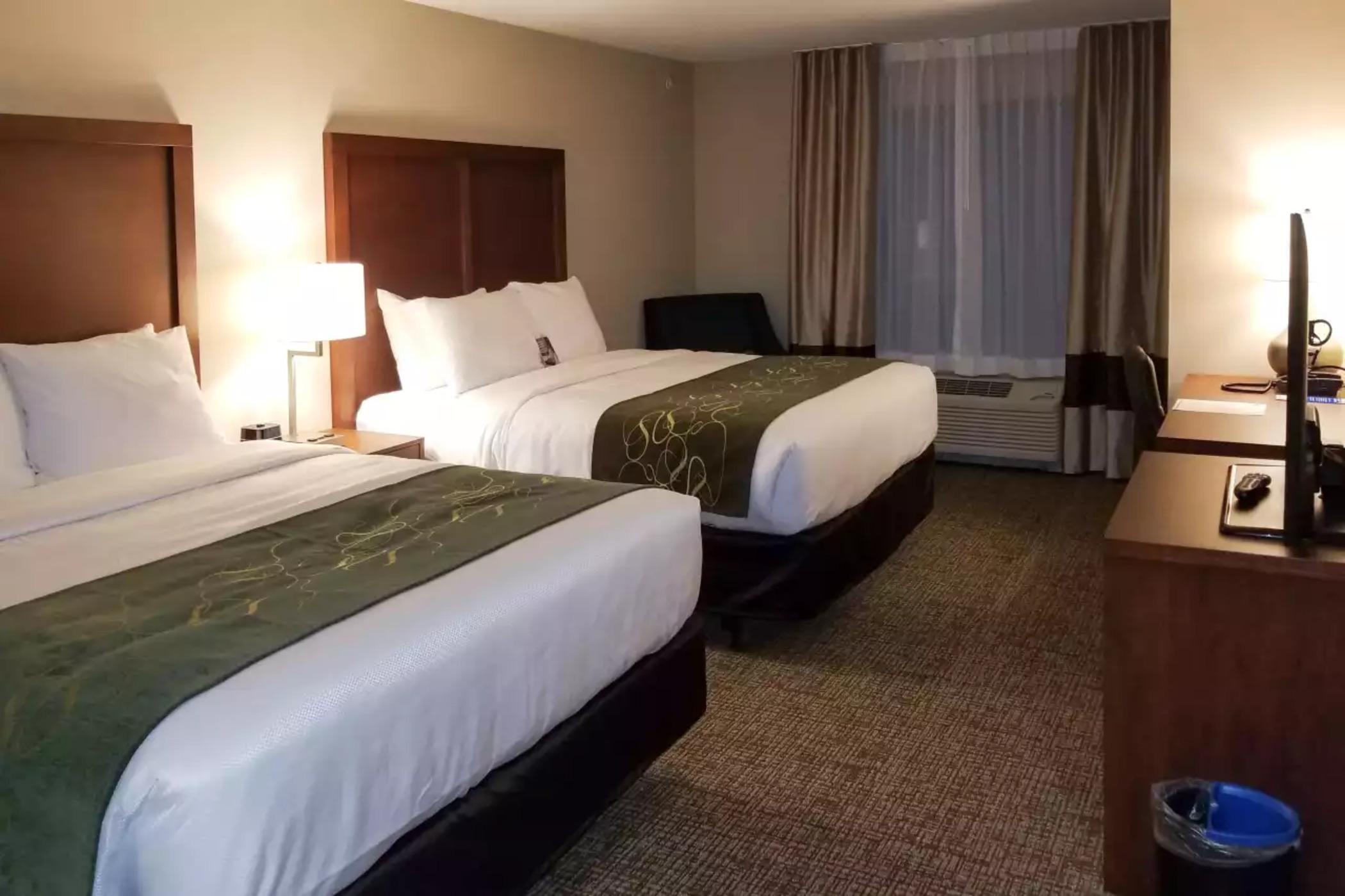 Comfort Inn & Suites Schenectady - Scotia Luaran gambar
