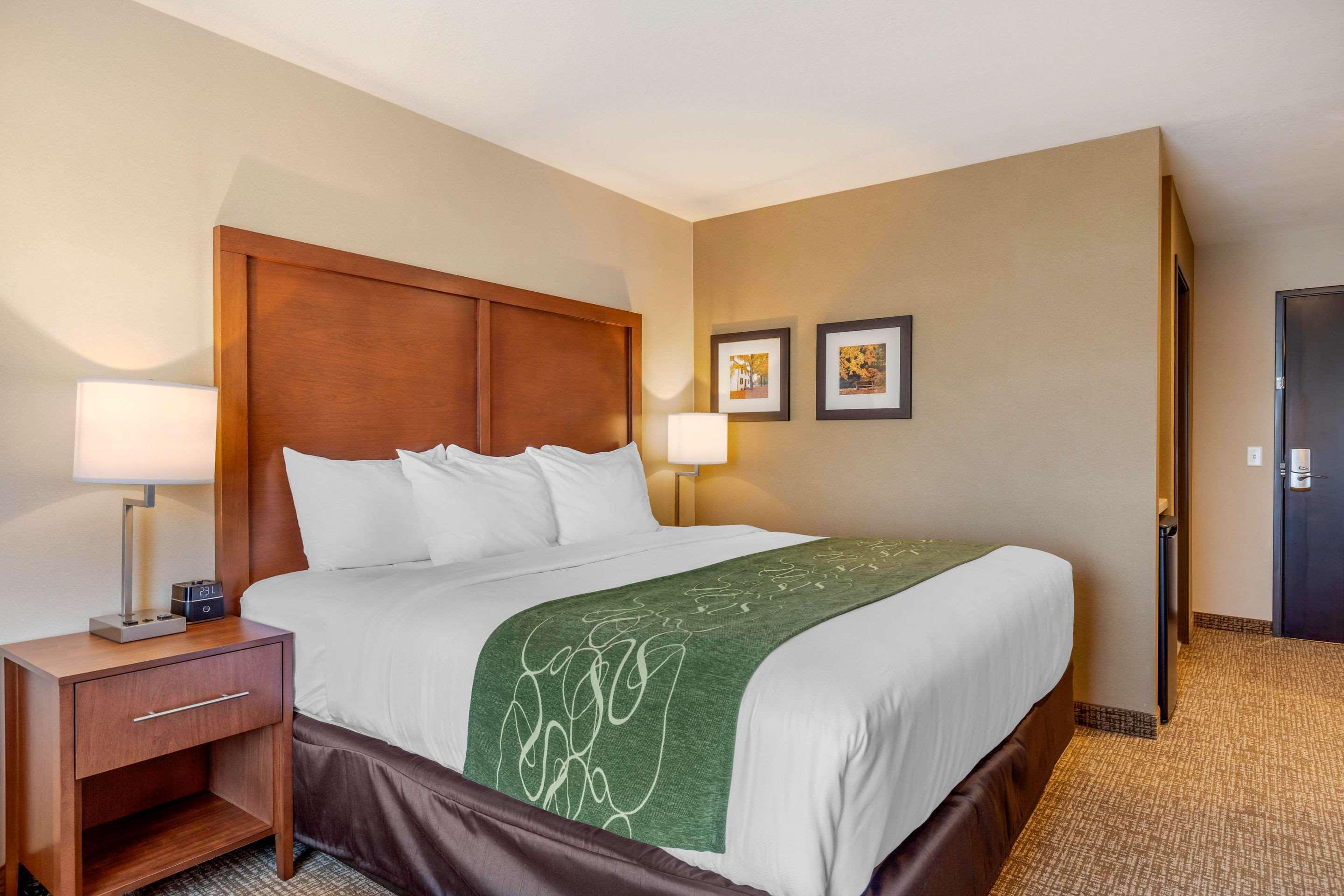 Comfort Inn & Suites Schenectady - Scotia Luaran gambar
