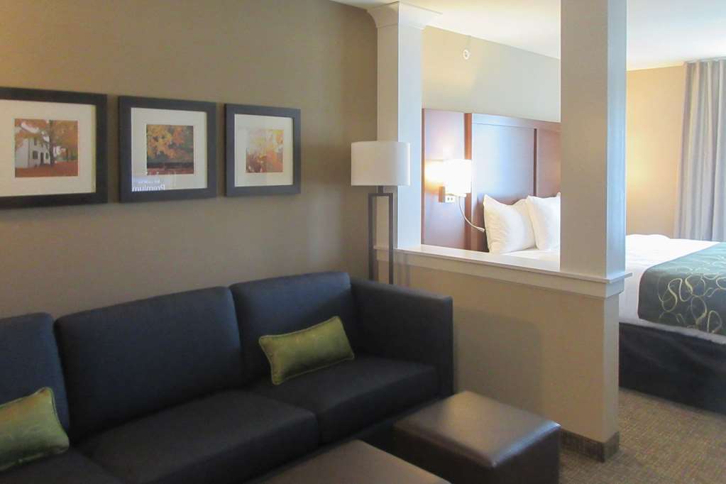 Comfort Inn & Suites Schenectady - Scotia Bilik gambar
