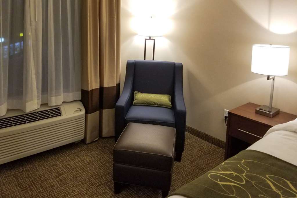 Comfort Inn & Suites Schenectady - Scotia Bilik gambar